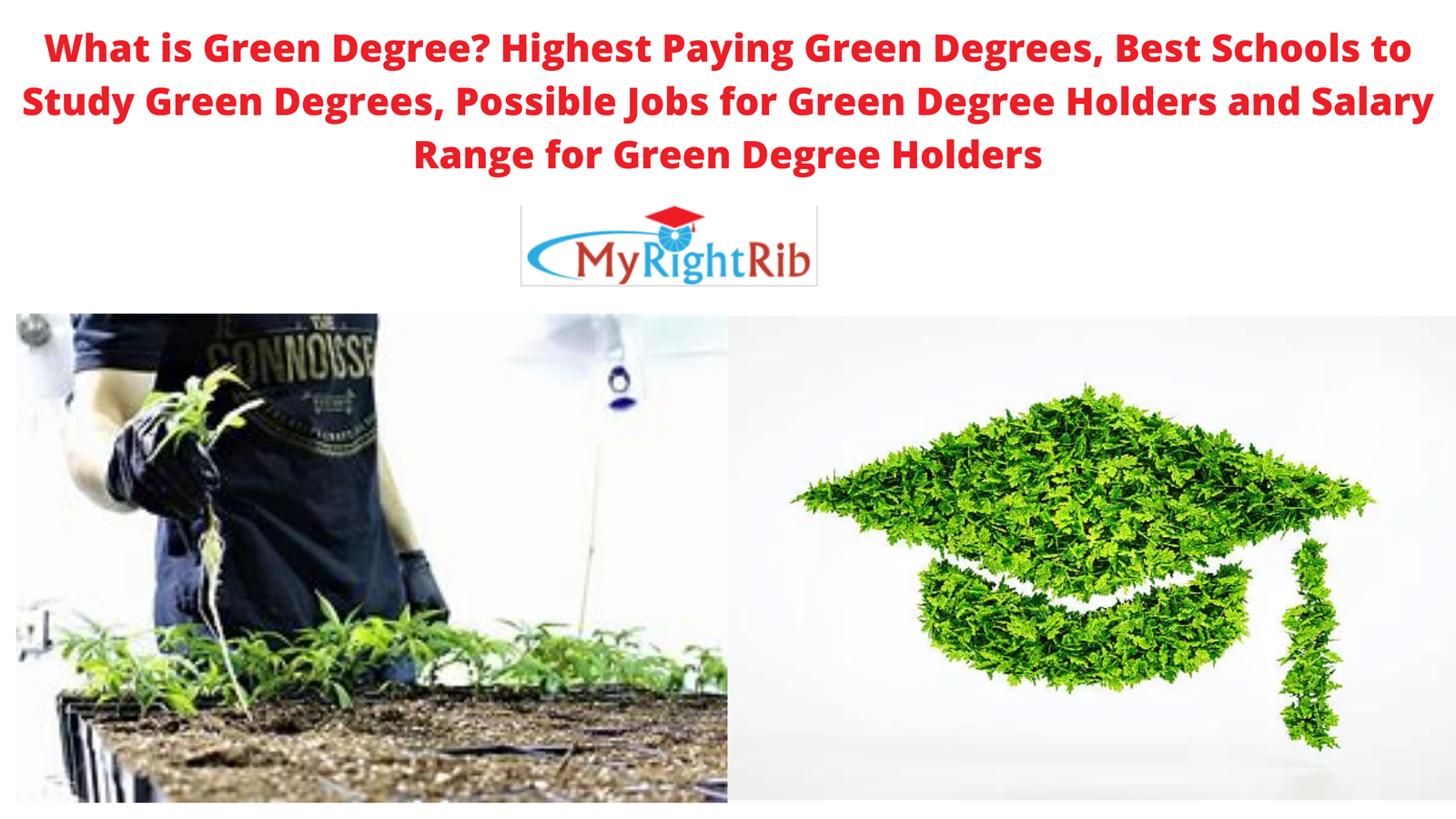 What is Green Degree? Highest Paying Green Degrees, Best Schools to Study Green Degrees, Possible Jobs for Green Degree Holders and Salary Range for Green Degree Holders
