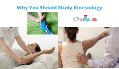 Why You Should Study Kinesiology/Kinesthesiology