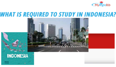 What is required to Study in Indonesia?