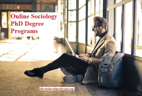 Best Online Sociology PhD Degree Programs Rankings